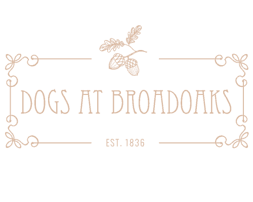 Dog Friendly Hotels Lake District Broadoaks Dogs Page Logo